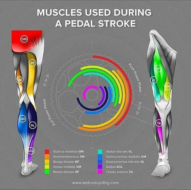 Running Vs. Cycling: Which Is Better For The Heart?