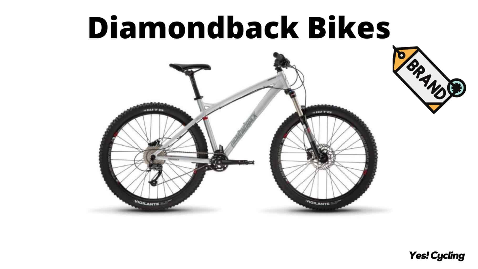 65 Best Bike Brands of 2022 Latest Rankings YesCycling