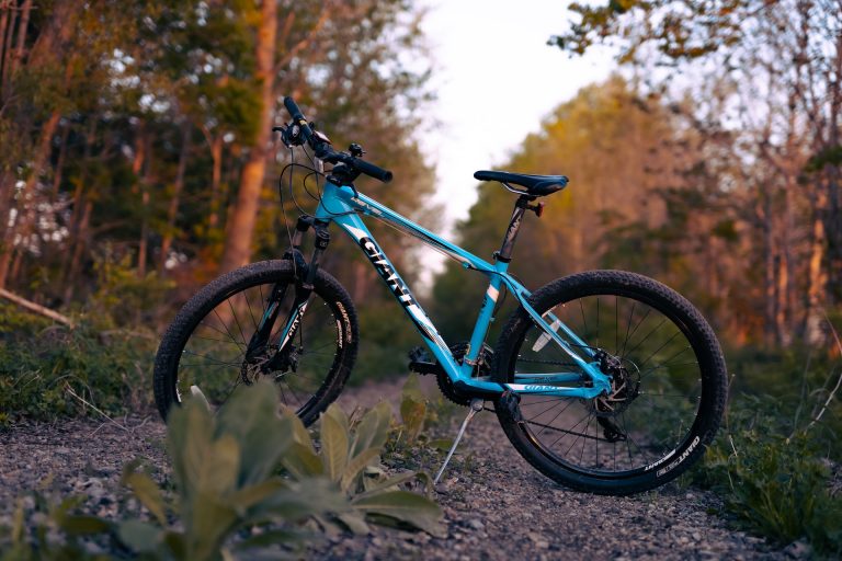 10 Best Hybrid Bikes Under $500 for 2024